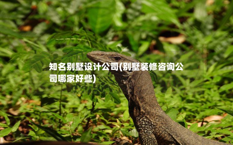 知名别墅设计公司(别墅装修咨询公司哪家好些) 知名别墅设计公司(别墅装修咨询公司哪家好些)