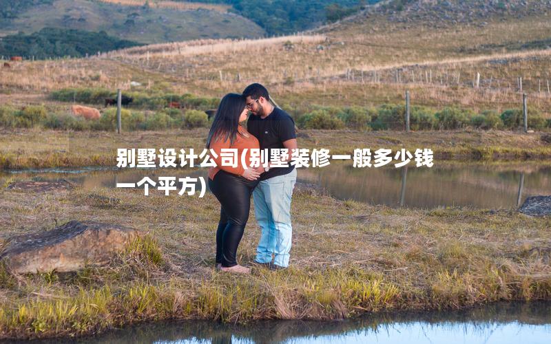 别墅设计公司(别墅装修一般多少钱一个平方)